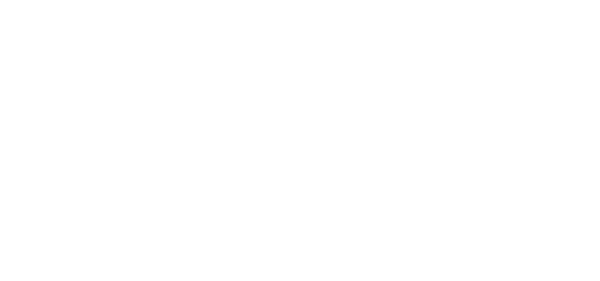 Digital Attraction